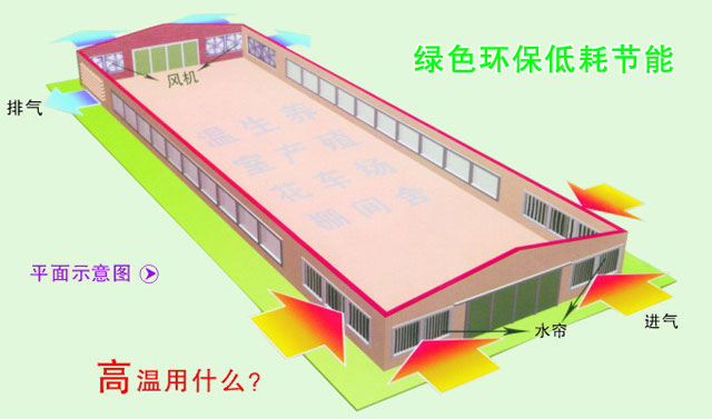 散熱通風解決方案肇慶畜牧養殖豬場