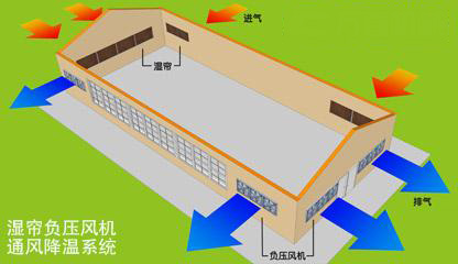 通風散熱解決方案河源畜牧養殖豬場